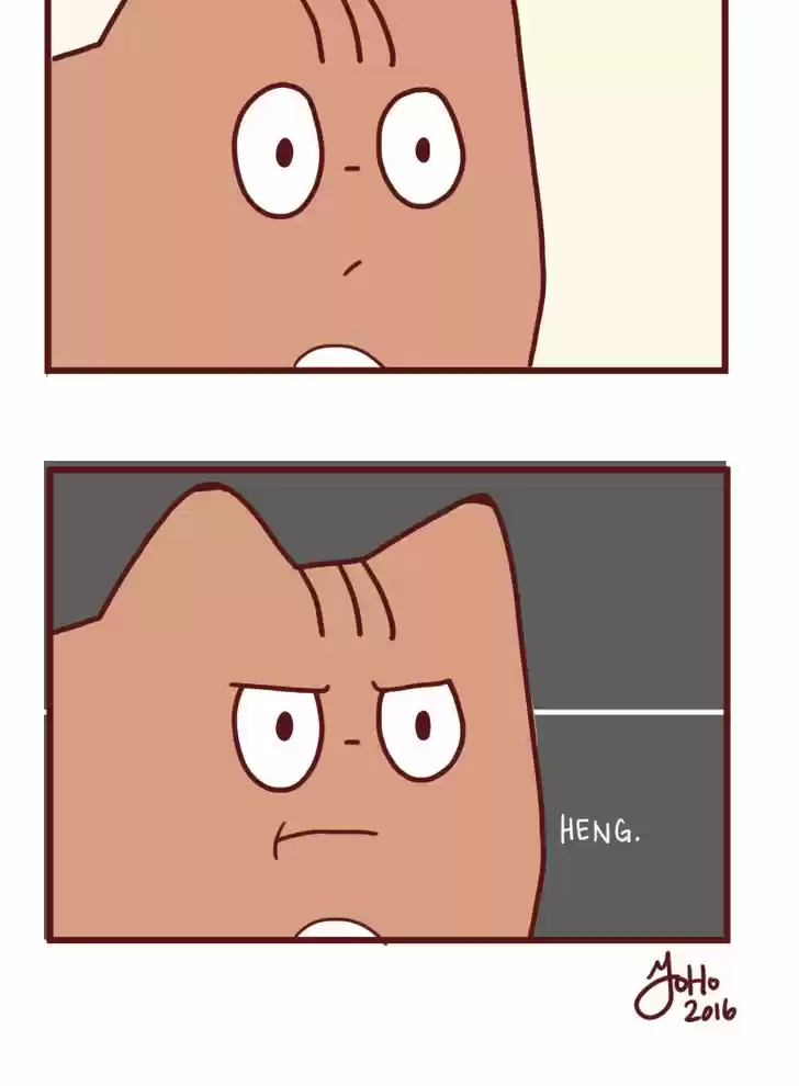 Saphie: The One-Eyed Cat 14