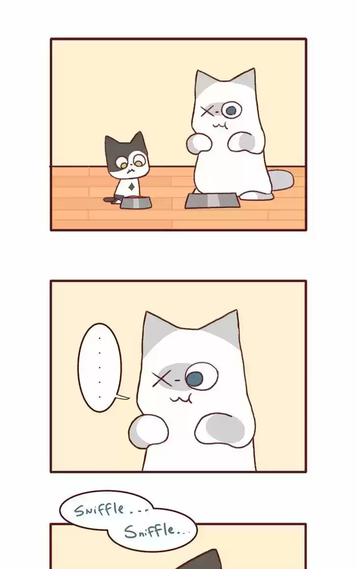 Saphie: The One-Eyed Cat 141