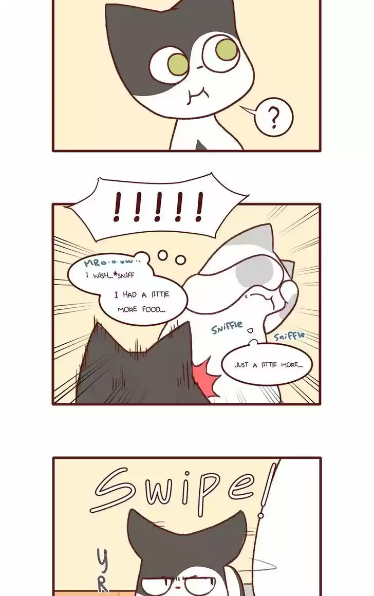 Saphie: The One-Eyed Cat 141