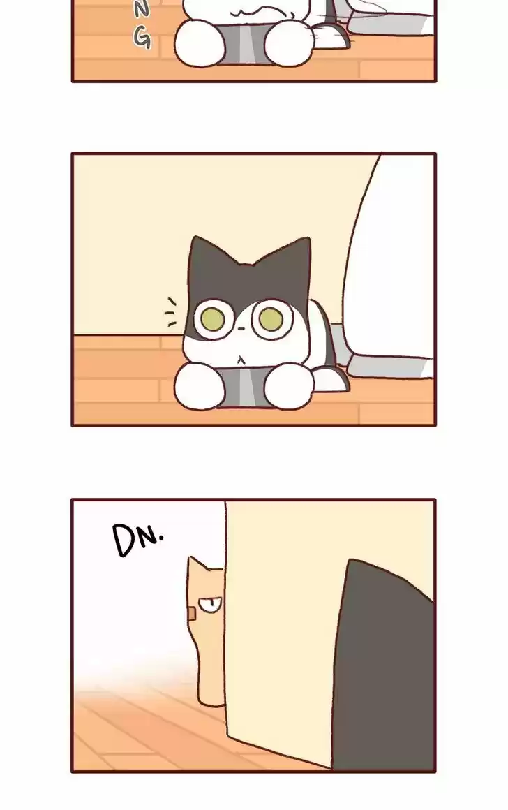 Saphie: The One-Eyed Cat 141