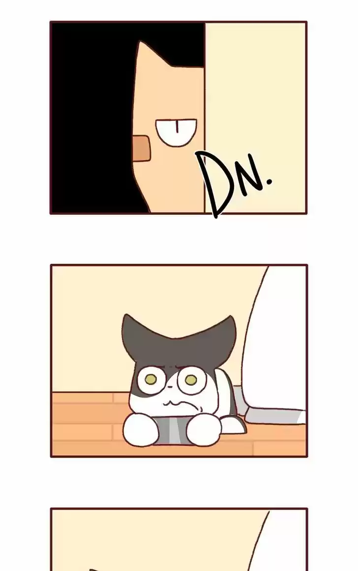 Saphie: The One-Eyed Cat 141