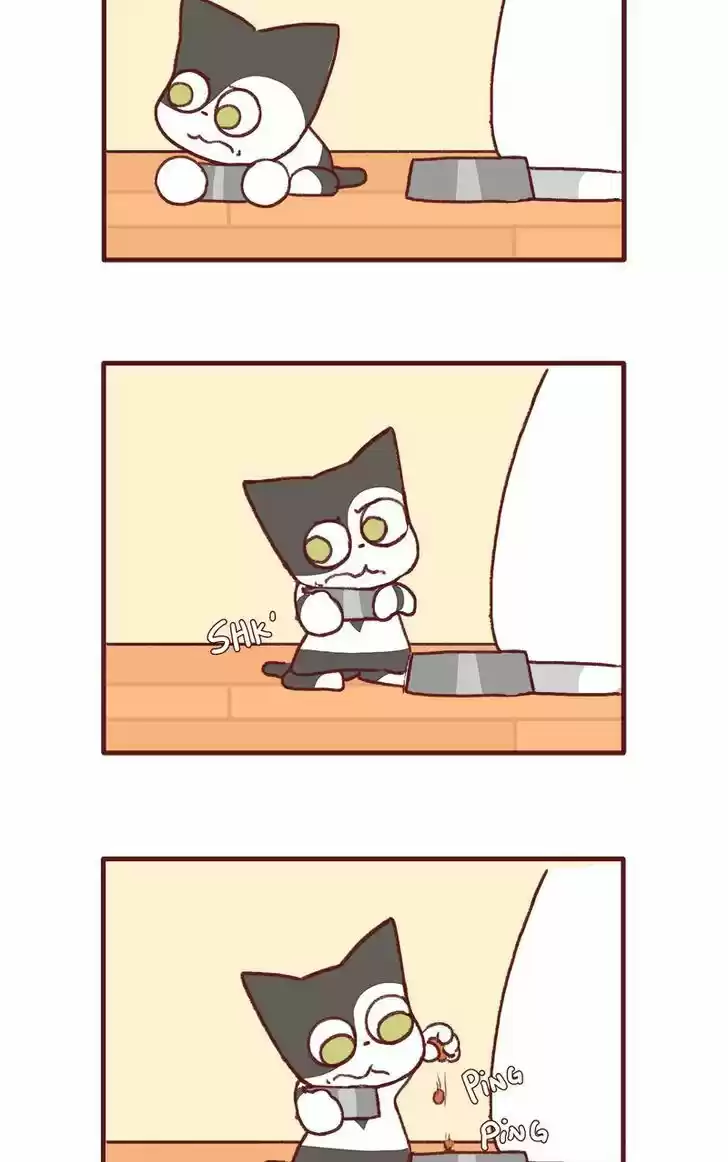 Saphie: The One-Eyed Cat 141