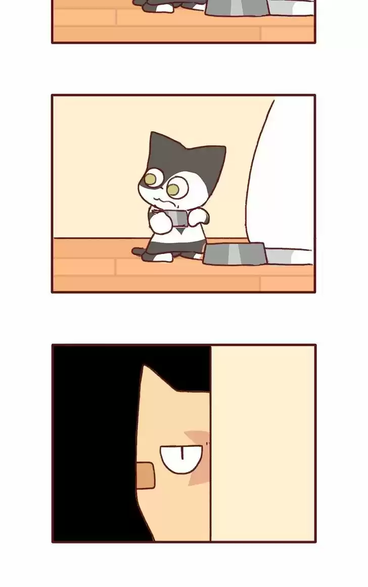 Saphie: The One-Eyed Cat 141