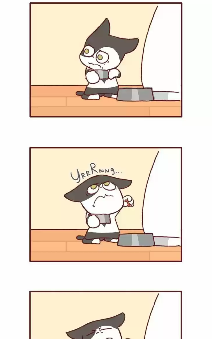 Saphie: The One-Eyed Cat 141