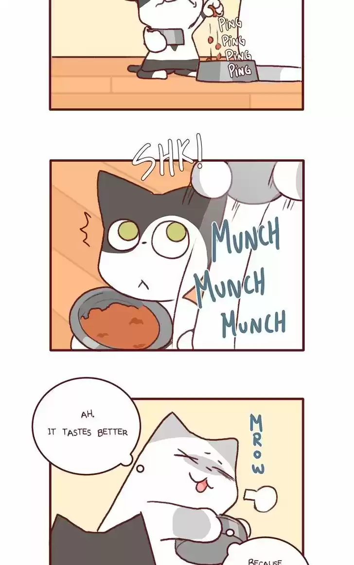 Saphie: The One-Eyed Cat 141