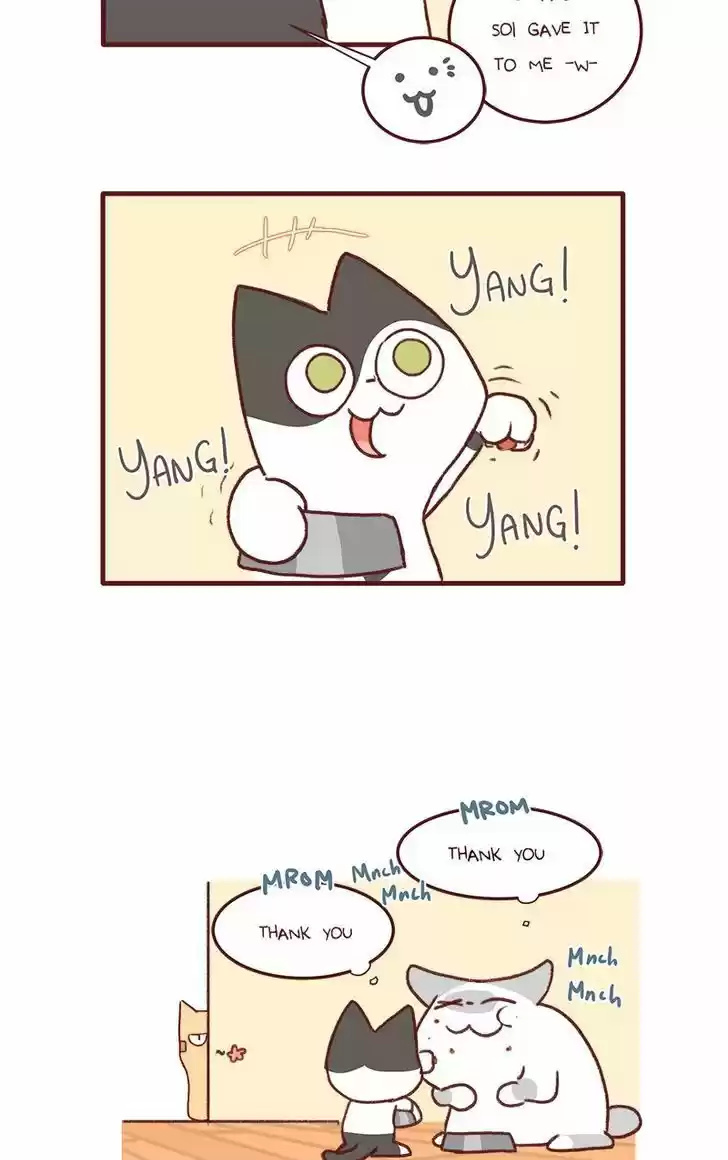 Saphie: The One-Eyed Cat 141