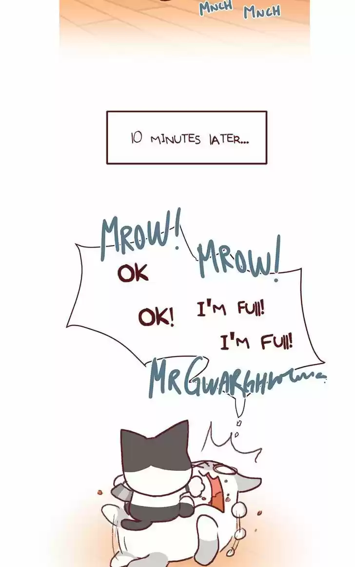 Saphie: The One-Eyed Cat 141