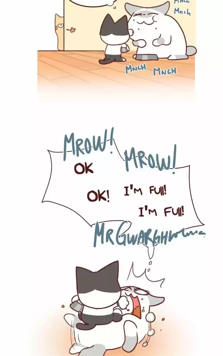 Saphie: The One-Eyed Cat 142