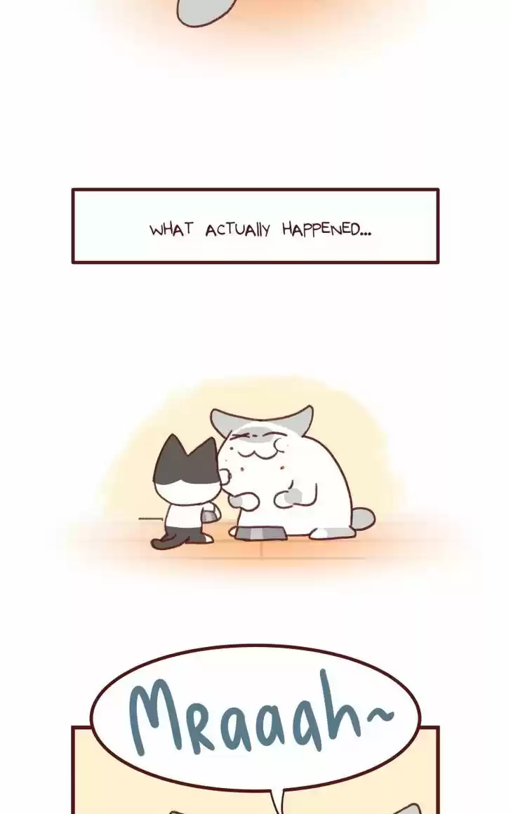 Saphie: The One-Eyed Cat 142