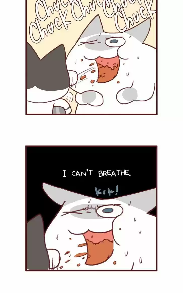 Saphie: The One-Eyed Cat 142