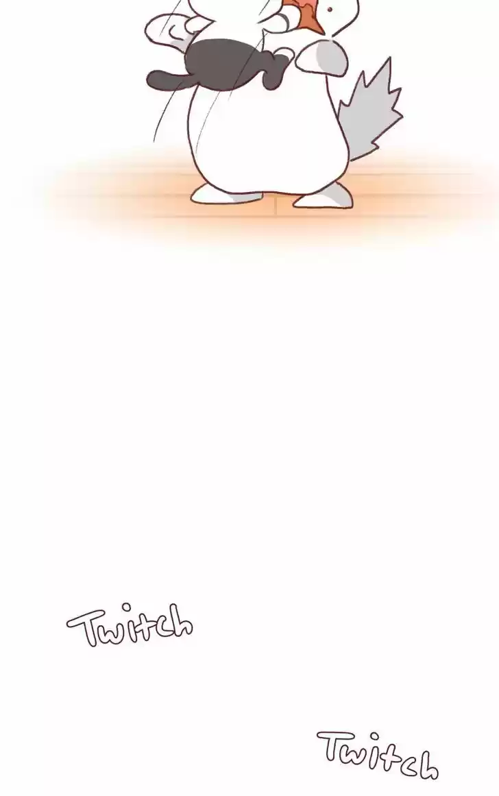 Saphie: The One-Eyed Cat 142