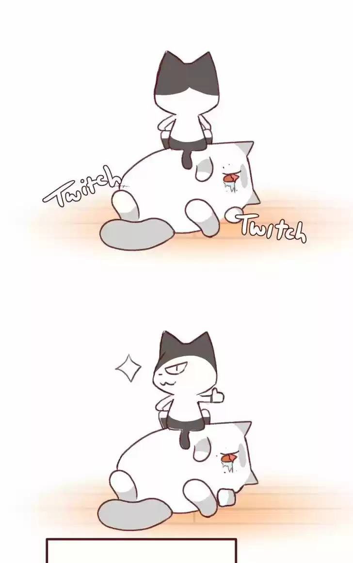 Saphie: The One-Eyed Cat 142