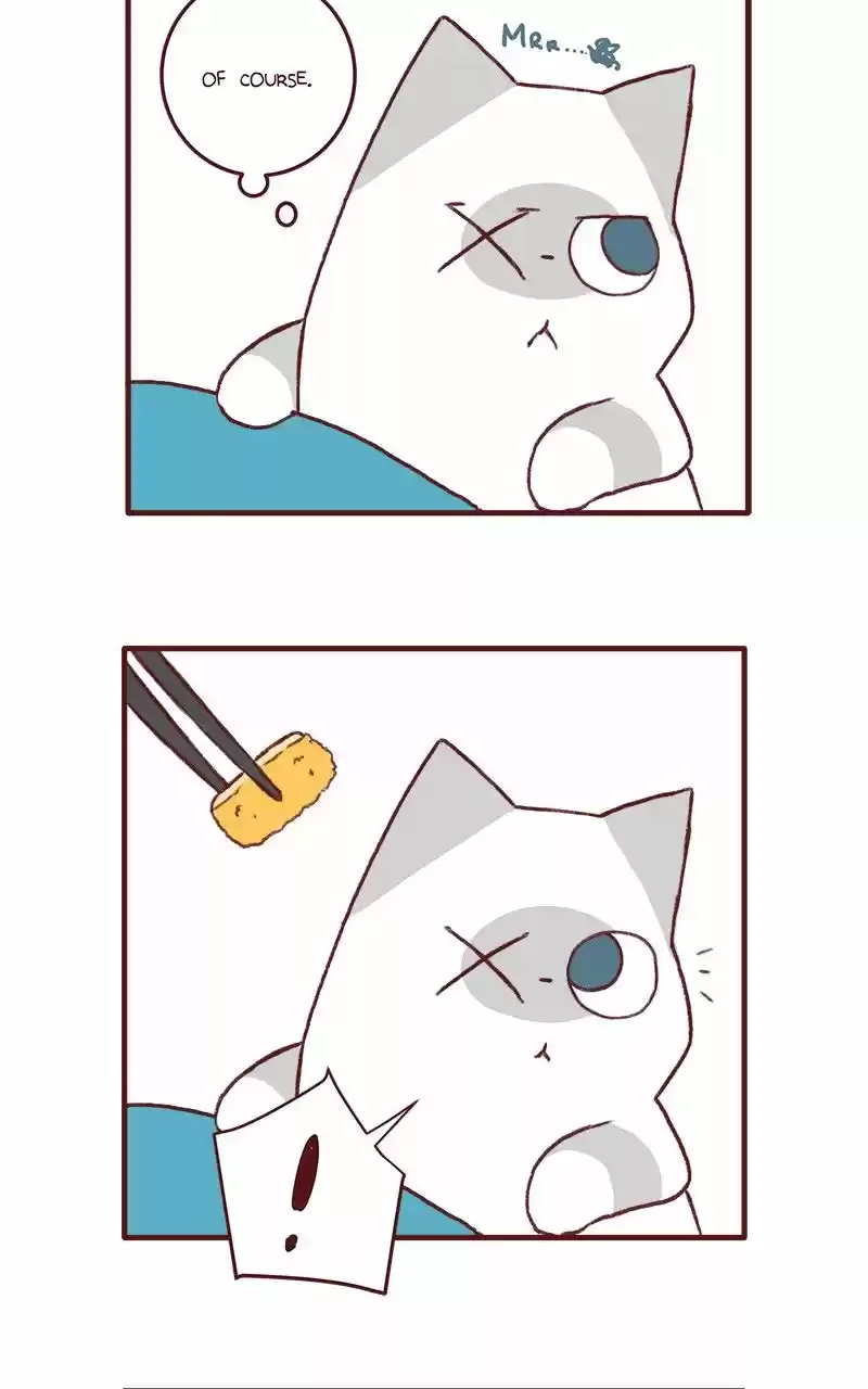 Saphie: The One-Eyed Cat 143