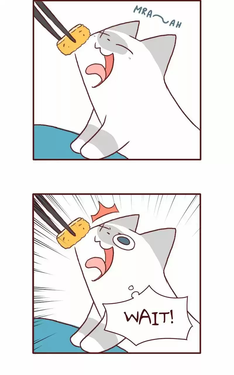 Saphie: The One-Eyed Cat 143