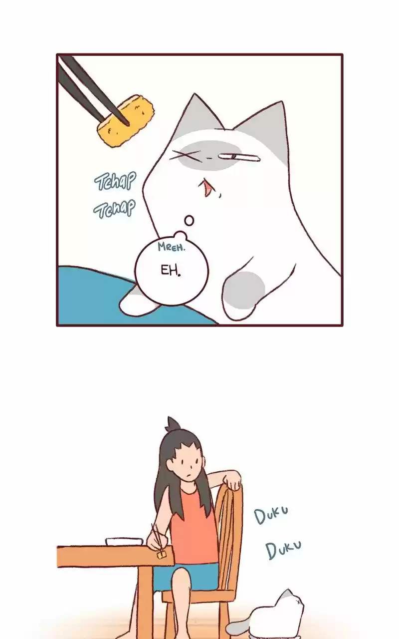 Saphie: The One-Eyed Cat 143