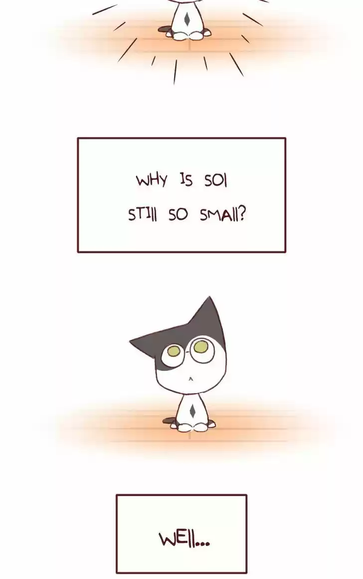 Saphie: The One-Eyed Cat 144