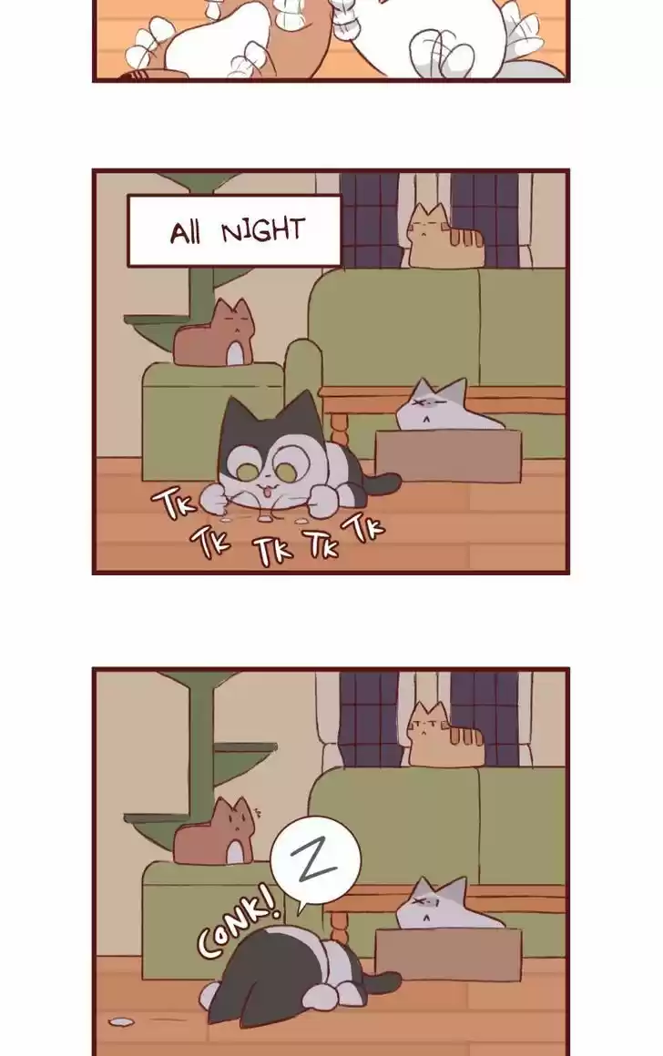 Saphie: The One-Eyed Cat 144