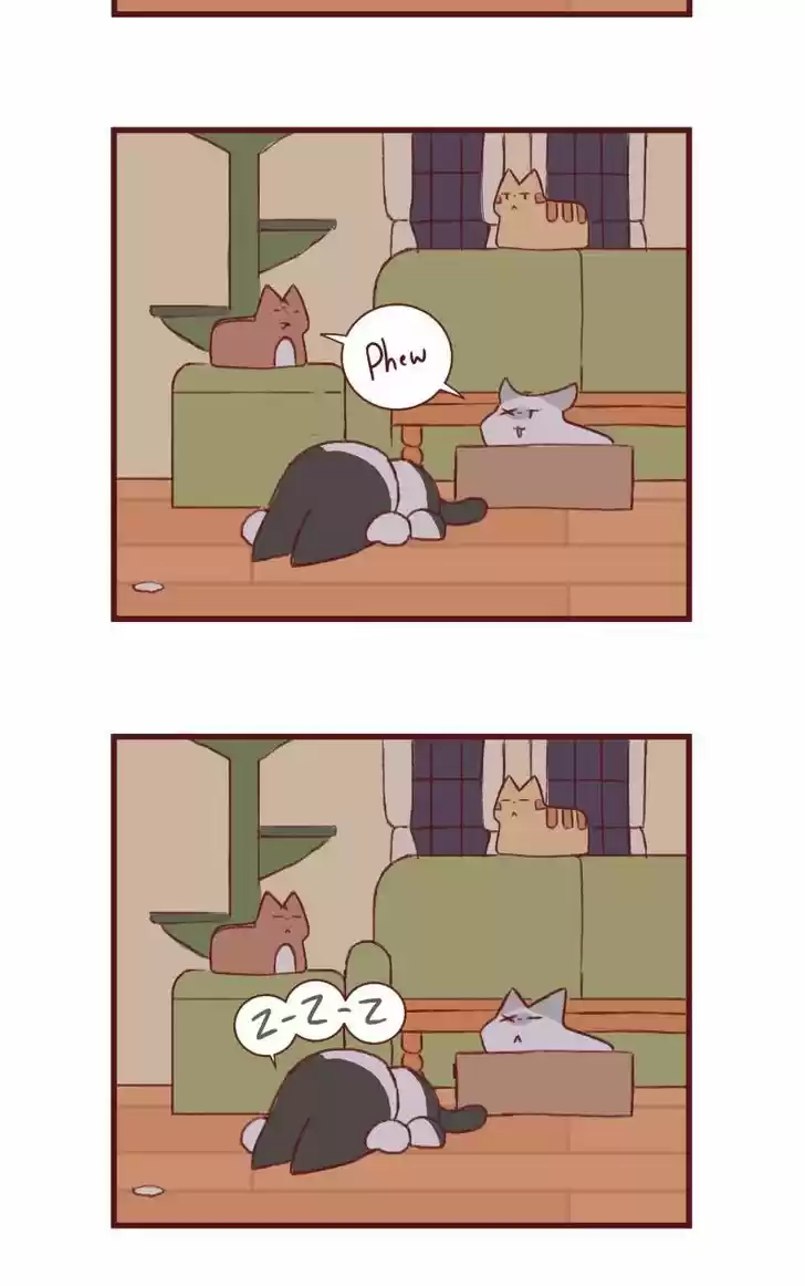 Saphie: The One-Eyed Cat 144