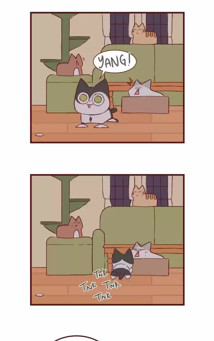 Saphie: The One-Eyed Cat 144