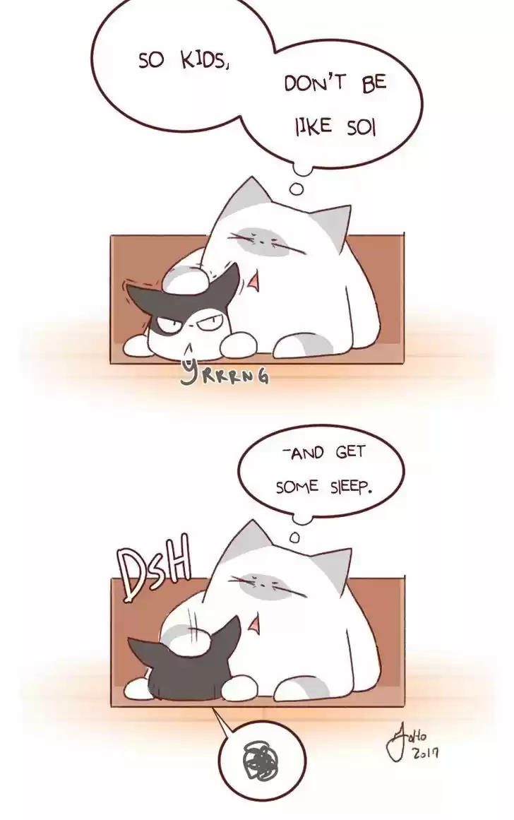 Saphie: The One-Eyed Cat 144