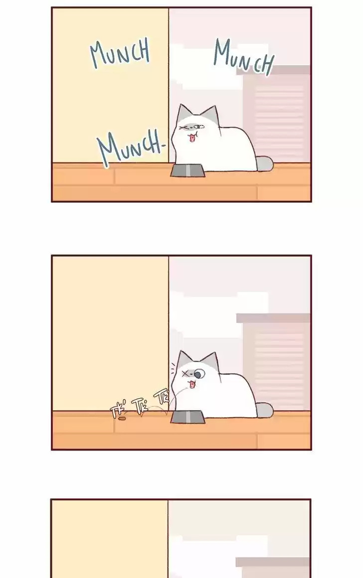 Saphie: The One-Eyed Cat 145