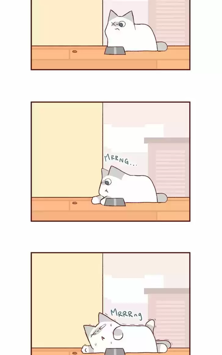 Saphie: The One-Eyed Cat 145