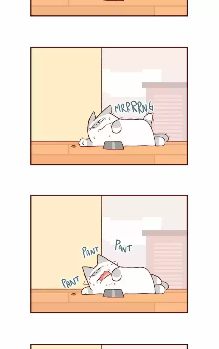 Saphie: The One-Eyed Cat 145