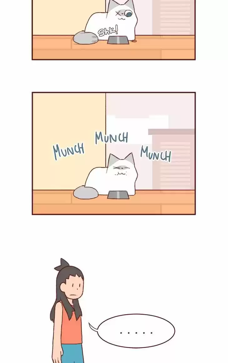 Saphie: The One-Eyed Cat 145