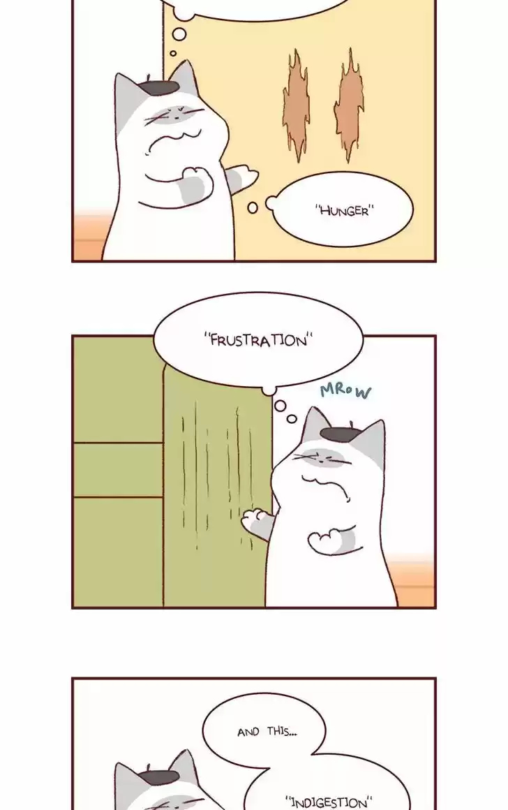 Saphie: The One-Eyed Cat 146