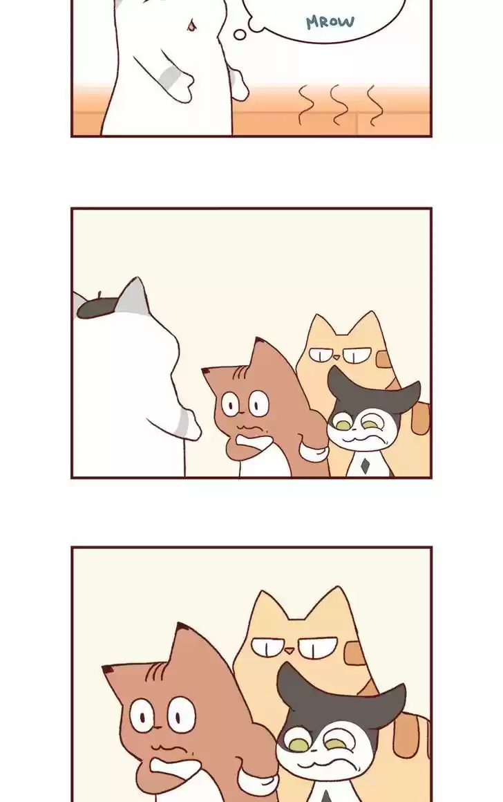 Saphie: The One-Eyed Cat 146