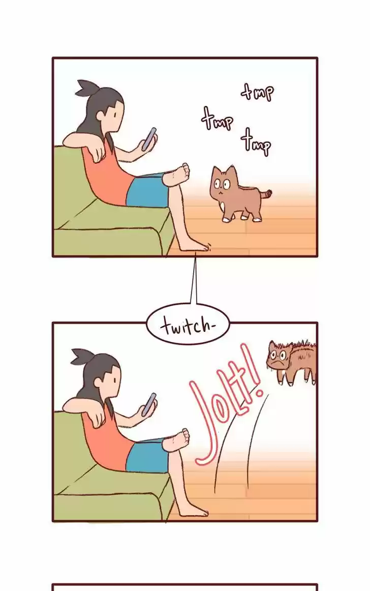 Saphie: The One-Eyed Cat 147