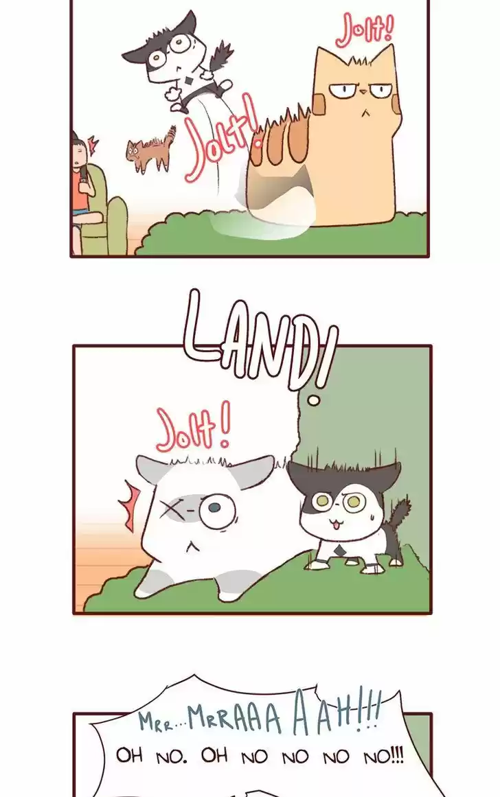 Saphie: The One-Eyed Cat 147