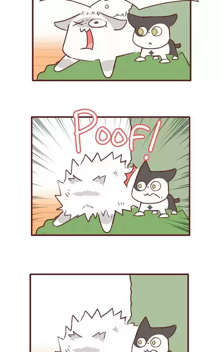 Saphie: The One-Eyed Cat 147