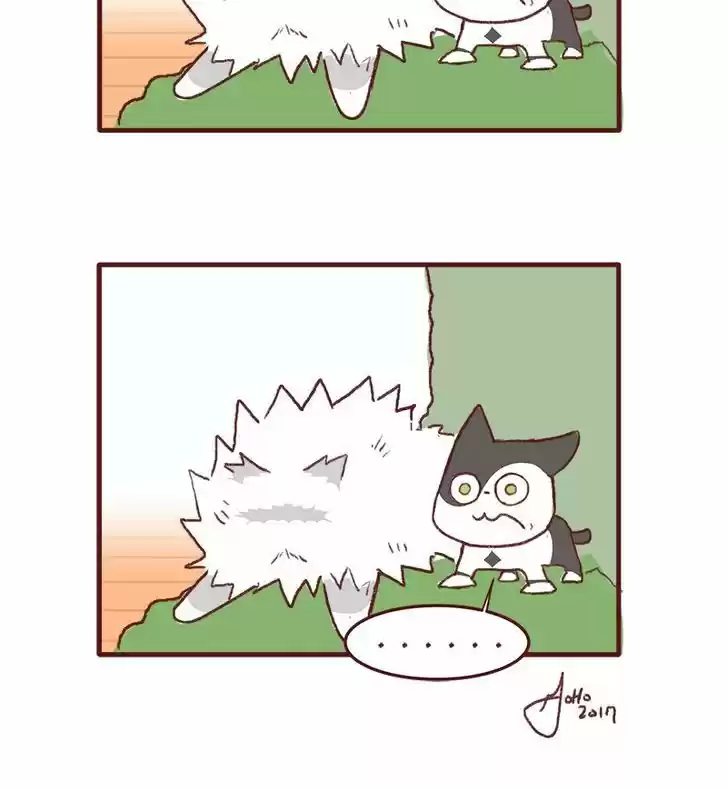 Saphie: The One-Eyed Cat 147