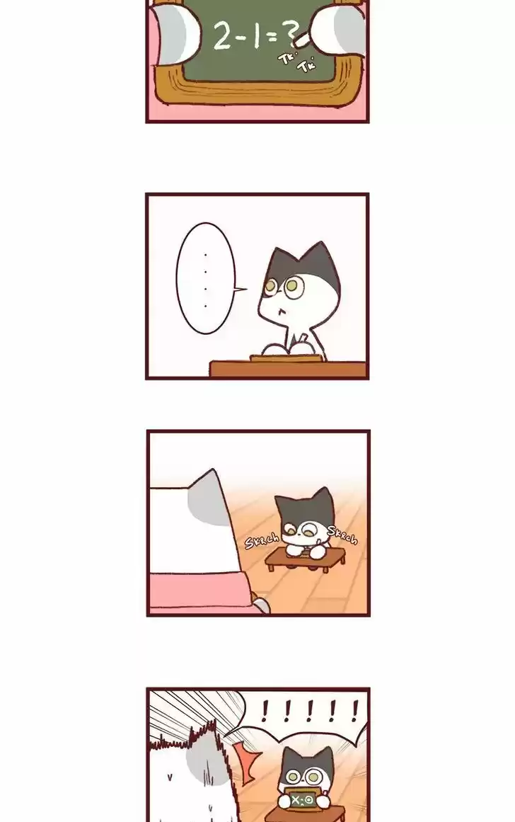 Saphie: The One-Eyed Cat 147