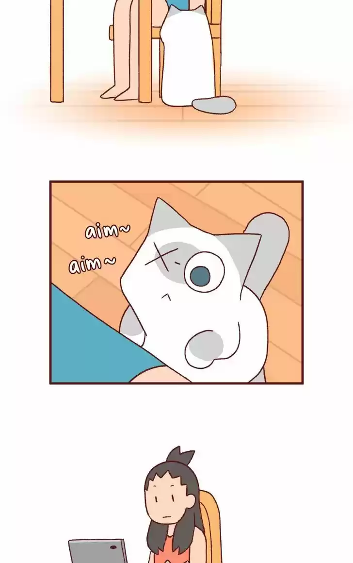 Saphie: The One-Eyed Cat 148