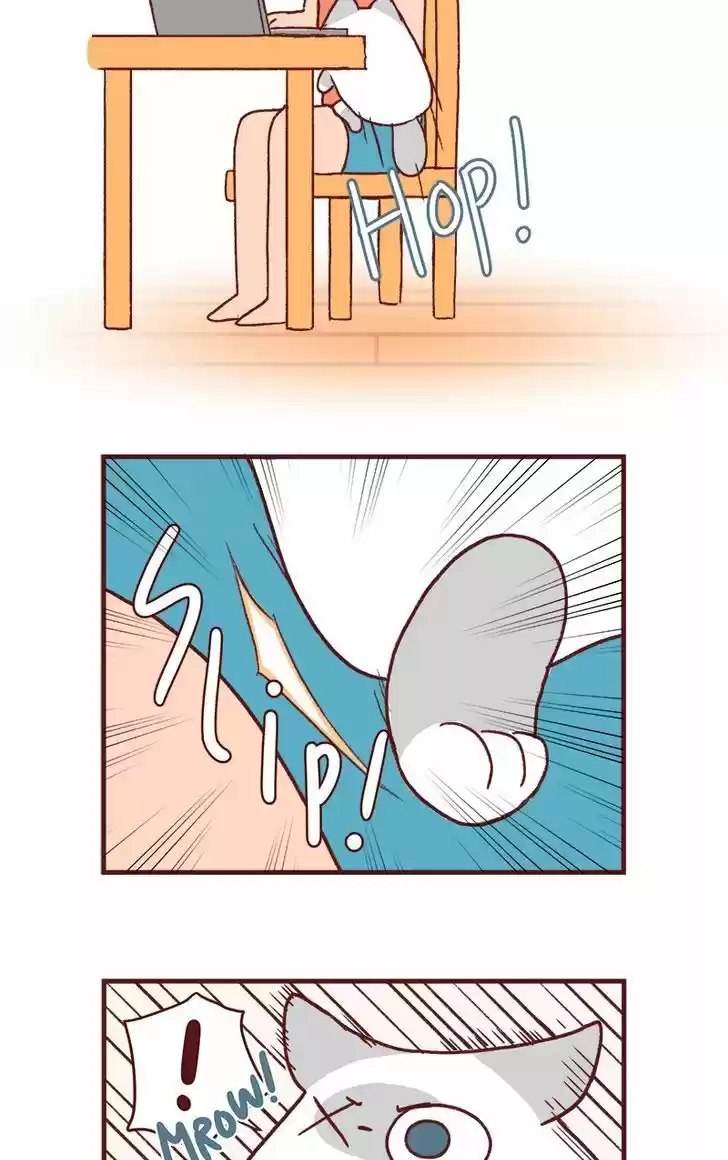 Saphie: The One-Eyed Cat 148