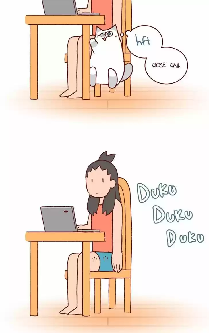 Saphie: The One-Eyed Cat 148