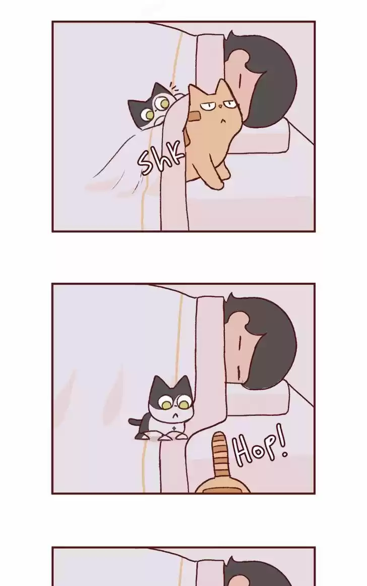 Saphie: The One-Eyed Cat 149