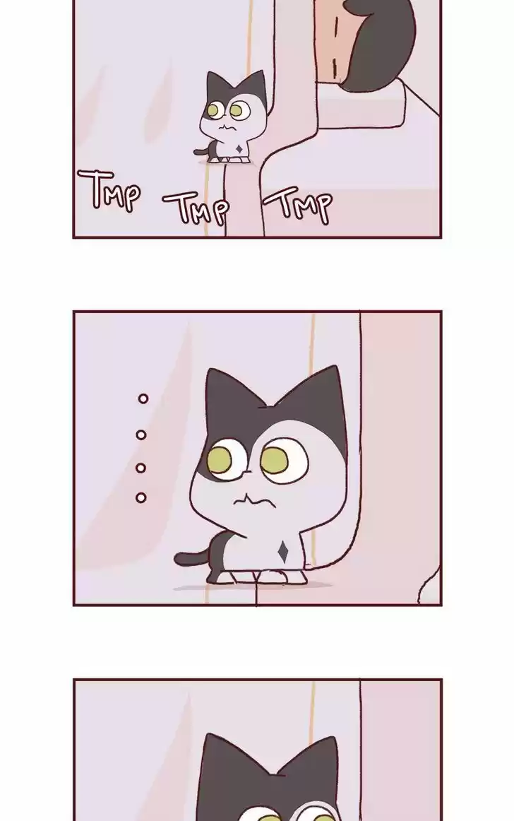 Saphie: The One-Eyed Cat 149