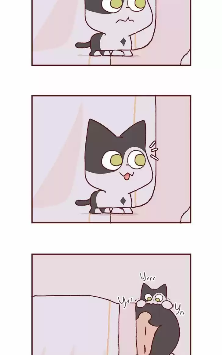 Saphie: The One-Eyed Cat 149