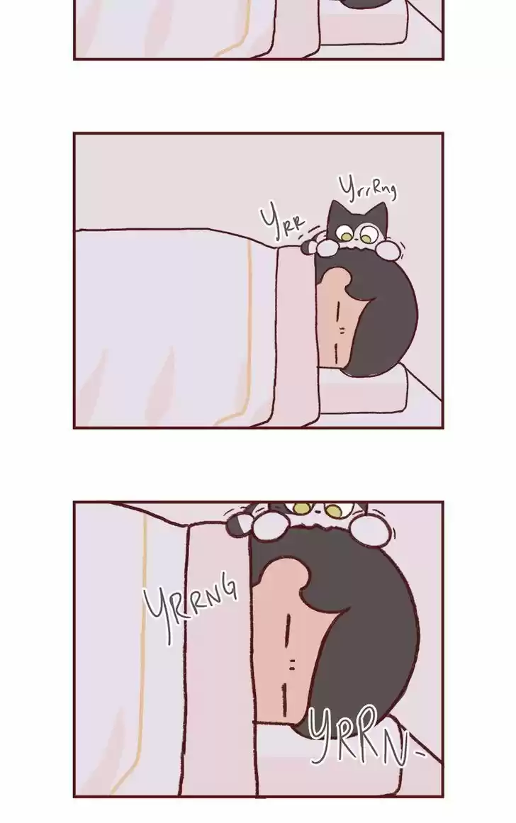 Saphie: The One-Eyed Cat 149