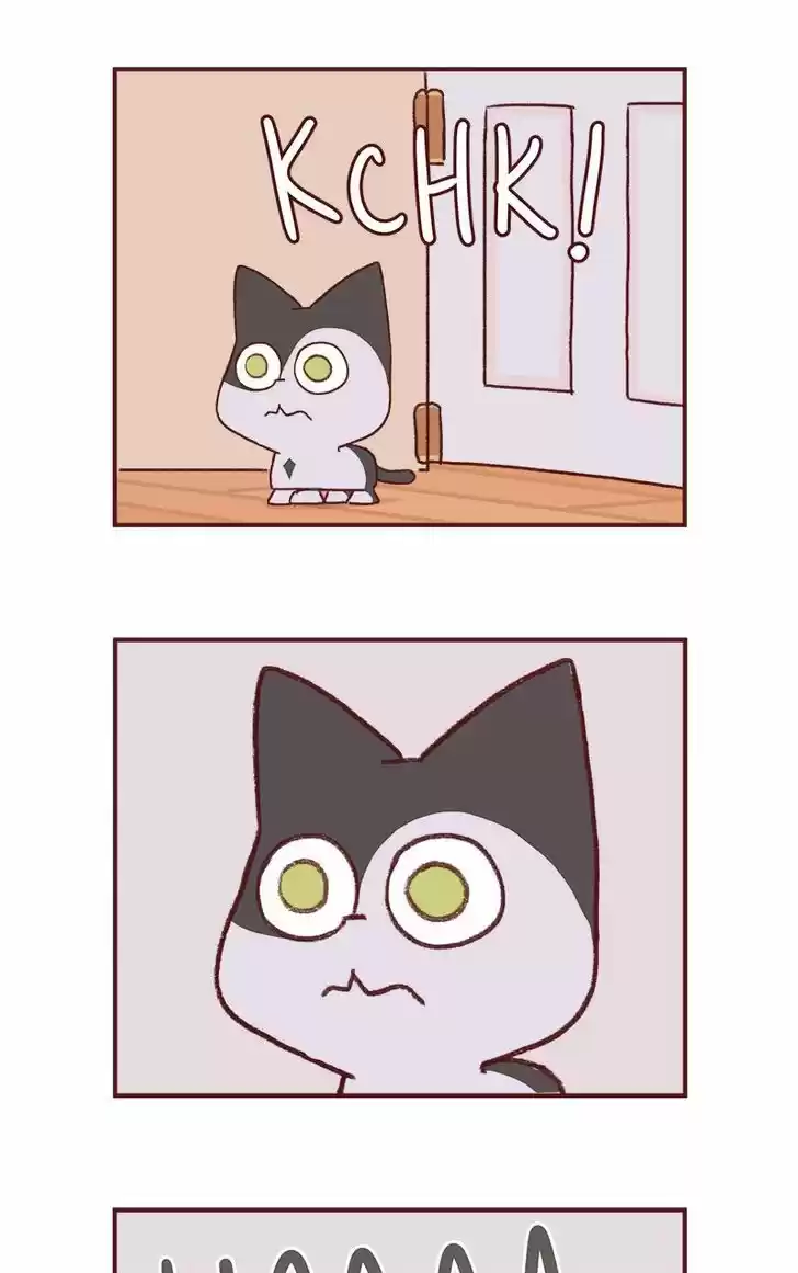 Saphie: The One-Eyed Cat 149