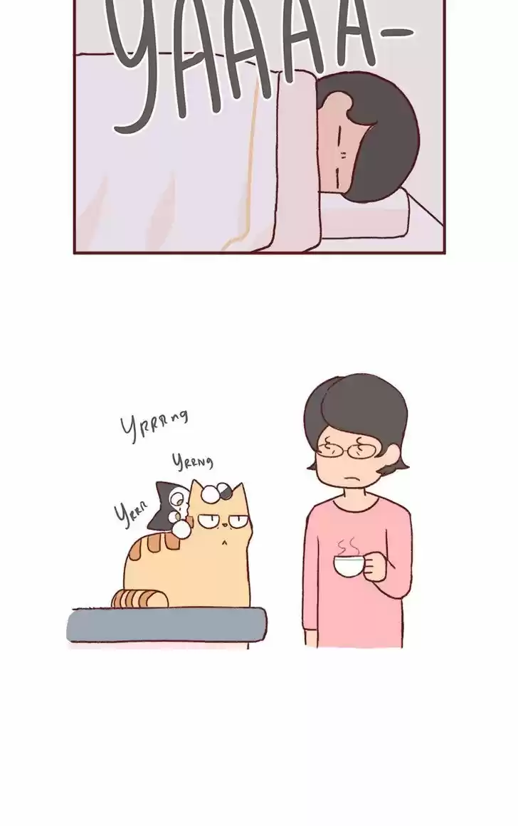 Saphie: The One-Eyed Cat 149