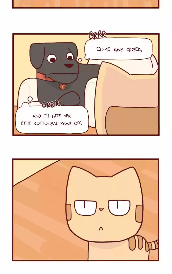 Saphie: The One-Eyed Cat 15