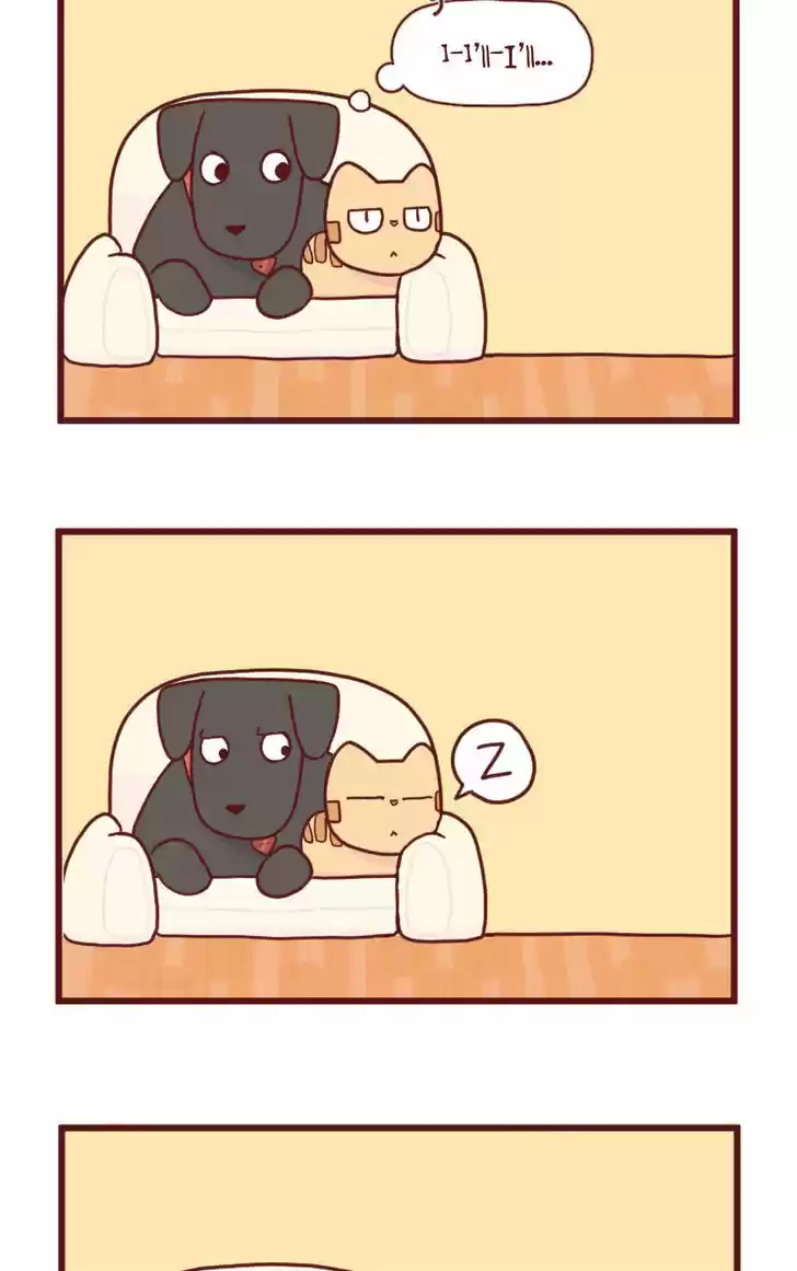 Saphie: The One-Eyed Cat 15