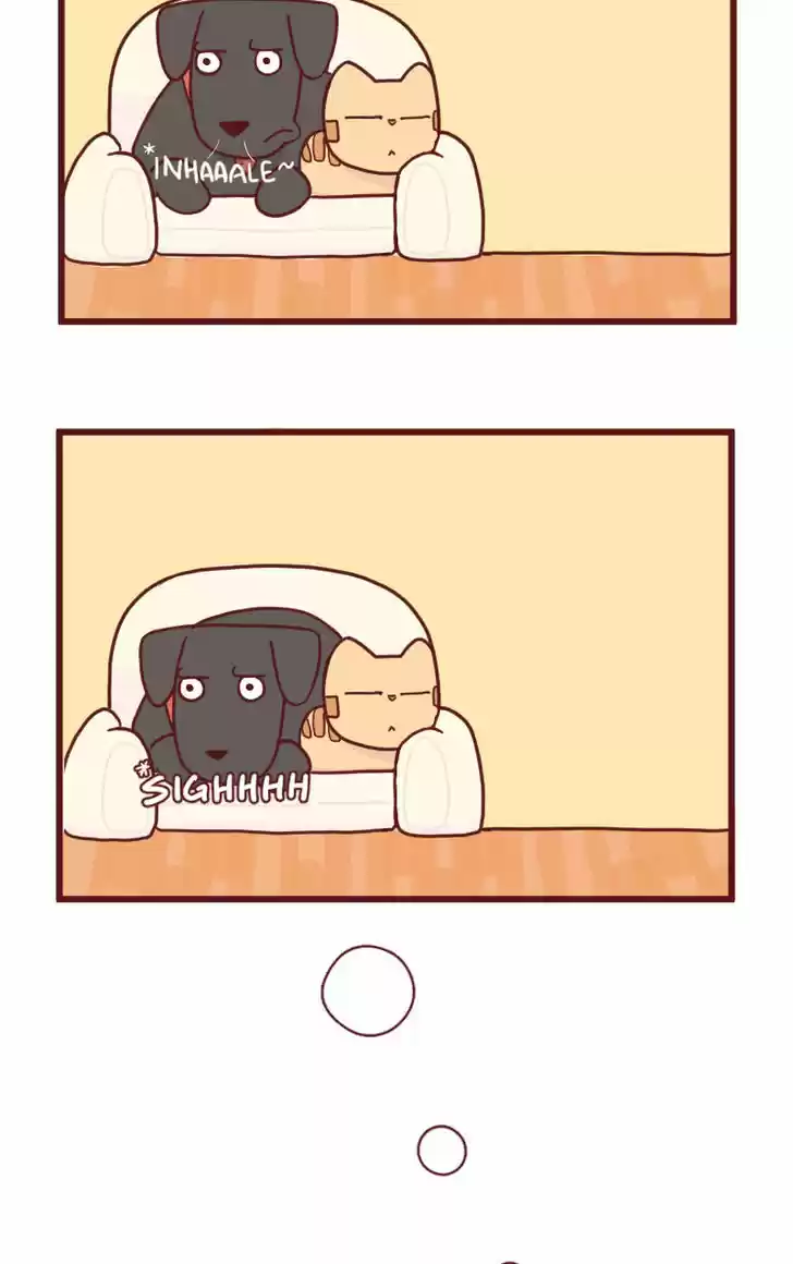 Saphie: The One-Eyed Cat 15