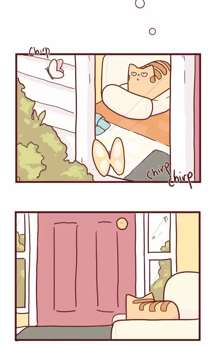 Saphie: The One-Eyed Cat 15