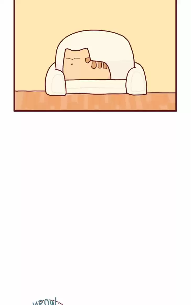 Saphie: The One-Eyed Cat 15