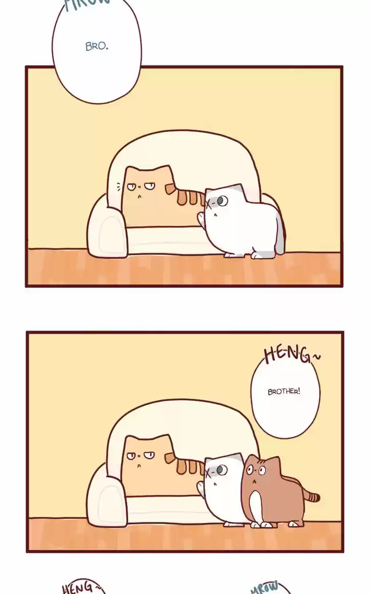 Saphie: The One-Eyed Cat 15